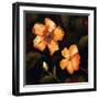 First Impressions II-Bagnato Judi-Framed Art Print