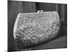 First Lady Mrs. Dwight D. Eisenhower's Inaugural Jeweled Purse Encrusted with 3,456 Pink Pearls-Nina Leen-Mounted Photographic Print