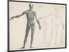 First Layer of Muscles in the Human Body (Back View)-null-Mounted Photographic Print