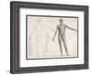 First Layer of Muscles in the Human Body (Front View)-null-Framed Art Print