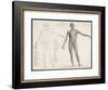 First Layer of Muscles in the Human Body (Front View)-null-Framed Art Print