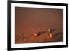 First Light Apostle Islands National Lakeshore-Steve Gadomski-Framed Photographic Print