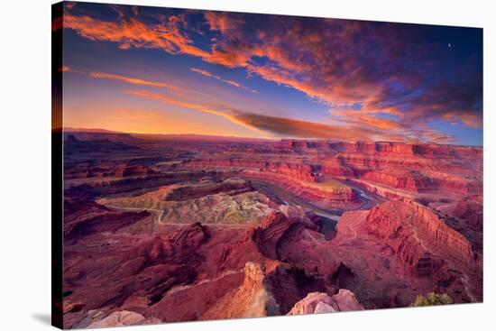 First Light at Dead Horse Canyon-Dean Fikar-Stretched Canvas