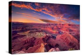 First Light at Dead Horse Canyon-Dean Fikar-Stretched Canvas