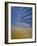 First Light Flight-Don Paulson-Framed Giclee Print