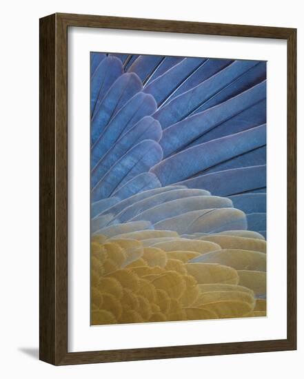 First Light Flight-Don Paulson-Framed Giclee Print