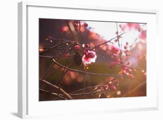 First Light of Spring, 2018,-Helen White-Framed Giclee Print
