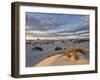 First Light on a Cluster of Yucca Among the Dunes, White Sands National Monument, New Mexico, USA-James Hager-Framed Photographic Print