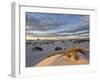 First Light on a Cluster of Yucca Among the Dunes, White Sands National Monument, New Mexico, USA-James Hager-Framed Photographic Print