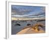 First Light on a Cluster of Yucca Among the Dunes, White Sands National Monument, New Mexico, USA-James Hager-Framed Photographic Print