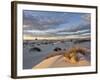 First Light on a Cluster of Yucca Among the Dunes, White Sands National Monument, New Mexico, USA-James Hager-Framed Photographic Print