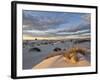 First Light on a Cluster of Yucca Among the Dunes, White Sands National Monument, New Mexico, USA-James Hager-Framed Photographic Print