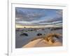 First Light on a Cluster of Yucca Among the Dunes, White Sands National Monument, New Mexico, USA-James Hager-Framed Photographic Print