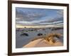 First Light on a Cluster of Yucca Among the Dunes, White Sands National Monument, New Mexico, USA-James Hager-Framed Photographic Print