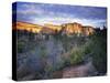 First Light on the Hills, Zion National Park, Utah, United States of America, North America-Lee Frost-Stretched Canvas