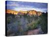 First Light on the Hills, Zion National Park, Utah, United States of America, North America-Lee Frost-Stretched Canvas