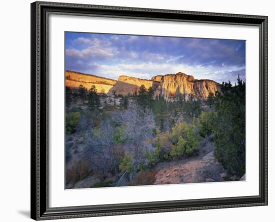 First Light on the Hills, Zion National Park, Utah, United States of America, North America-Lee Frost-Framed Photographic Print