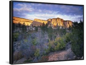 First Light on the Hills, Zion National Park, Utah, United States of America, North America-Lee Frost-Framed Photographic Print