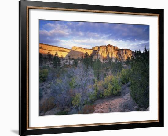 First Light on the Hills, Zion National Park, Utah, United States of America, North America-Lee Frost-Framed Photographic Print