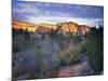 First Light on the Hills, Zion National Park, Utah, United States of America, North America-Lee Frost-Mounted Photographic Print