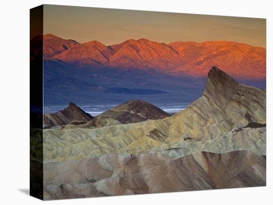 First Light on Zabriskie Point, Death Valley National Park, California, USA-Darrell Gulin-Stretched Canvas