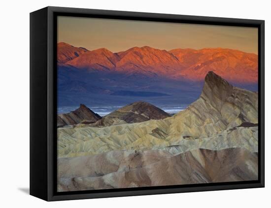 First Light on Zabriskie Point, Death Valley National Park, California, USA-Darrell Gulin-Framed Stretched Canvas