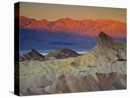 First Light on Zabriskie Point, Death Valley National Park, California, USA-Darrell Gulin-Stretched Canvas