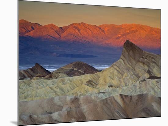 First Light on Zabriskie Point, Death Valley National Park, California, USA-Darrell Gulin-Mounted Photographic Print
