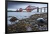 First Light over the Forth Rail Bridge, UNESCO World Heritage Site, and the Firth of Forth-Andrew Sproule-Framed Photographic Print