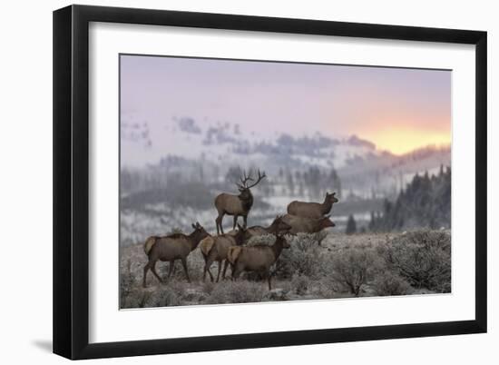 First Light-Nick Kalathas-Framed Giclee Print