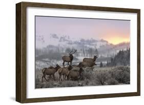 First Light-Nick Kalathas-Framed Giclee Print