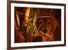 First Light-Gordon Semmens-Framed Giclee Print