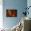 First Light-Gordon Semmens-Giclee Print displayed on a wall