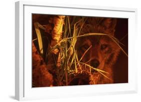 First Light-Gordon Semmens-Framed Giclee Print