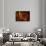 First Light-Gordon Semmens-Framed Giclee Print displayed on a wall