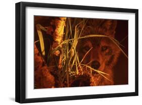 First Light-Gordon Semmens-Framed Giclee Print