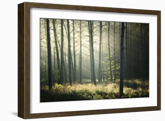 First Lights-Philippe Manguin-Framed Photographic Print