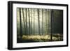 First Lights-Philippe Manguin-Framed Photographic Print
