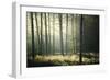 First Lights-Philippe Manguin-Framed Photographic Print
