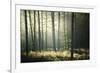 First Lights-Philippe Manguin-Framed Photographic Print