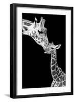 First Love - Giraffe-Incado-Framed Premium Photographic Print