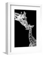 First Love - Giraffe-Incado-Framed Photographic Print