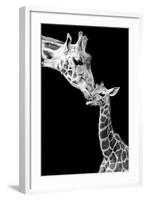 First Love - Giraffe-Incado-Framed Photographic Print