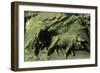 First Mens' Work, Panel-Lorenzo Ghiberti-Framed Giclee Print