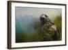 First Morning Light-Jai Johnson-Framed Giclee Print