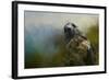 First Morning Light-Jai Johnson-Framed Giclee Print