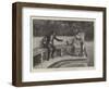 First Overtures-Emil Brack-Framed Giclee Print