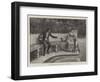 First Overtures-Emil Brack-Framed Giclee Print