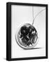 Essential Black