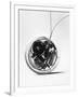 Gramercy White